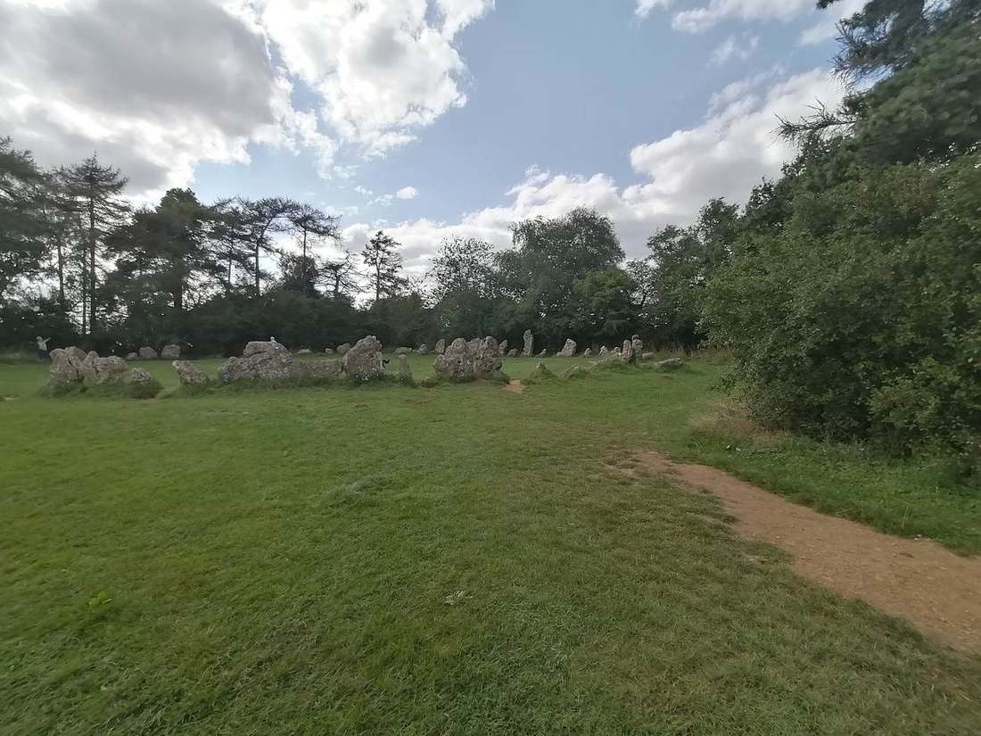 A mown path through a green meadow towards trees under a soft blue sky